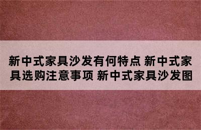 新中式家具沙发有何特点 新中式家具选购注意事项 新中式家具沙发图